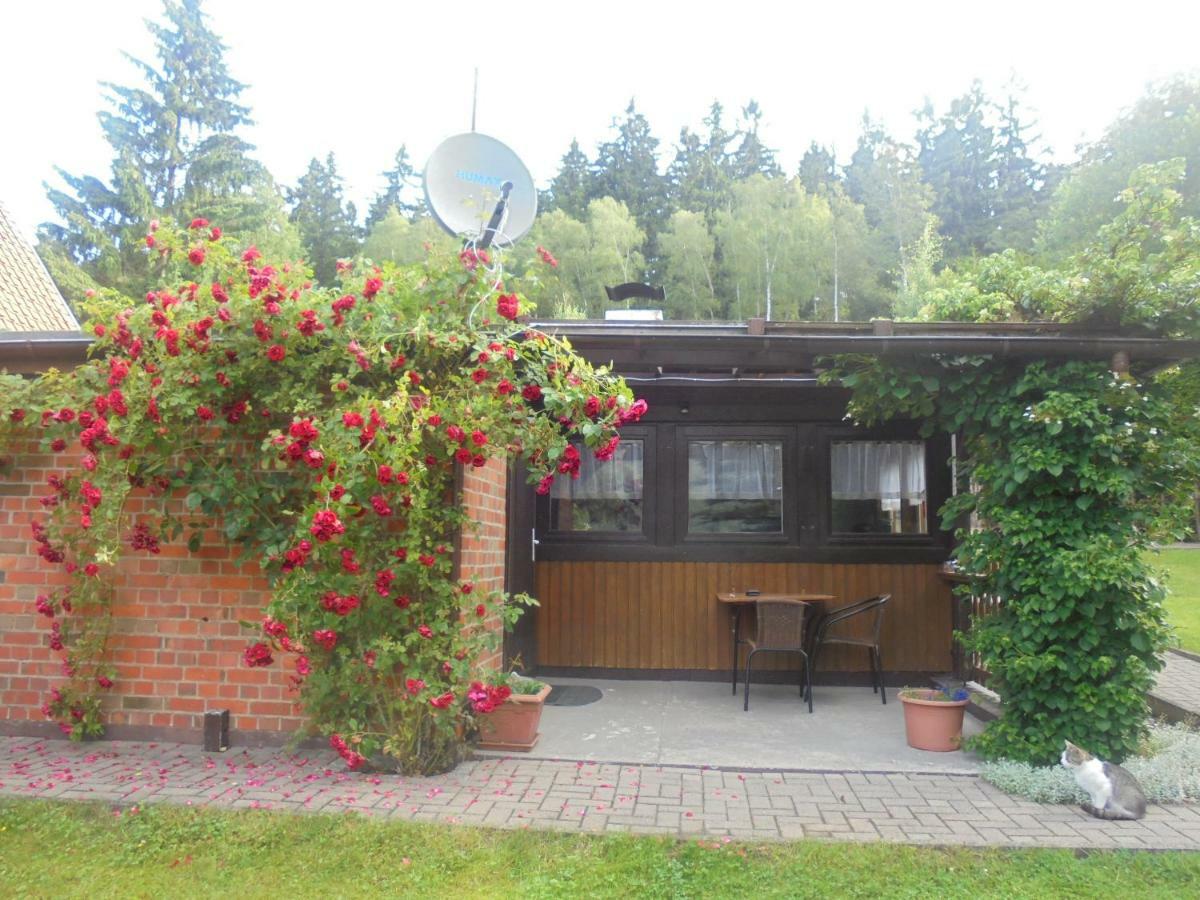 Bergfreiheit Schierke Exterior foto